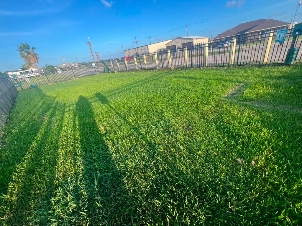 Spacious fenced dog park interior with lush green grass and open sky